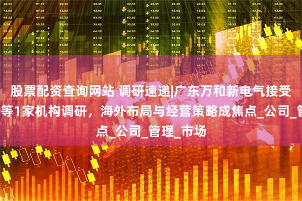 股票配资查询网站 调研速递|广东万和新电气接受天弘基金等1家机构调研，海外布局与经营策略成焦点_公司_管理_市场