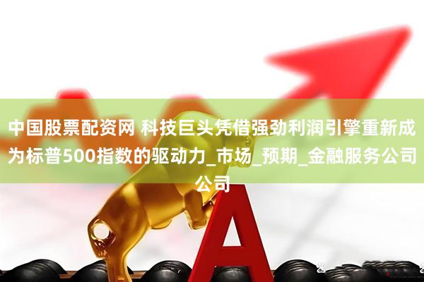 中国股票配资网 科技巨头凭借强劲利润引擎重新成为标普500指数的驱动力_市场_预期_金融服务公司