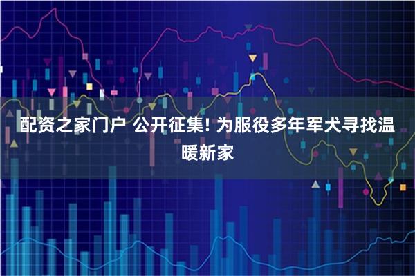 配资之家门户 公开征集! 为服役多年军犬寻找温暖新家